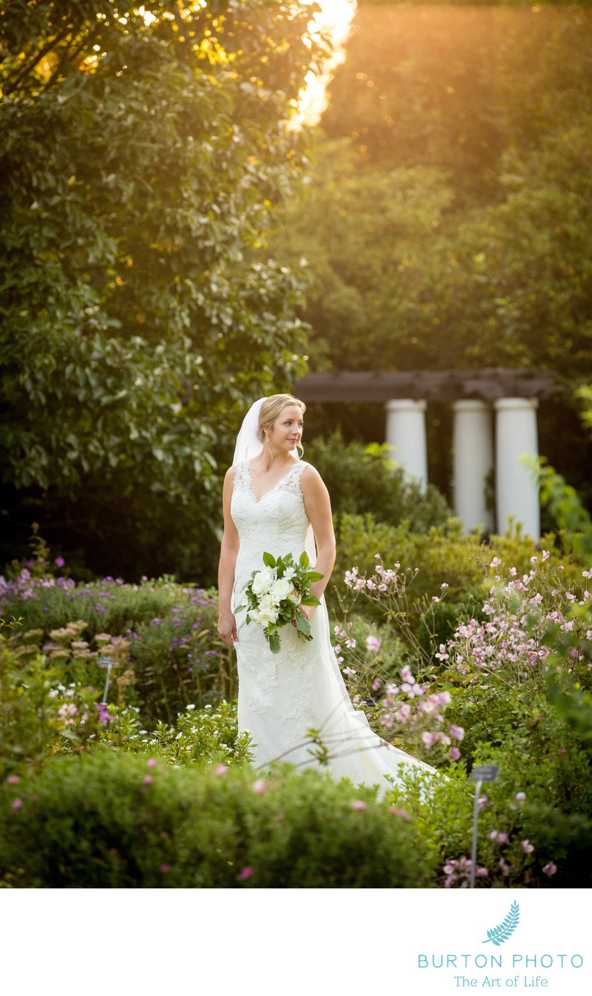 Wedding Photography for Reynolda Gardens Bride