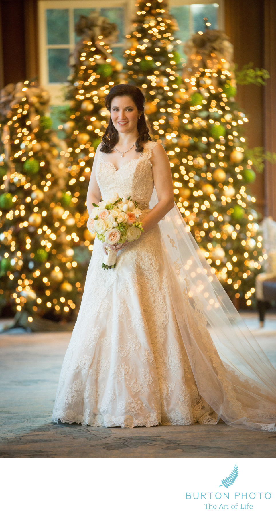 Wedding Photo at The Ritz Reynolds Plantation Bride