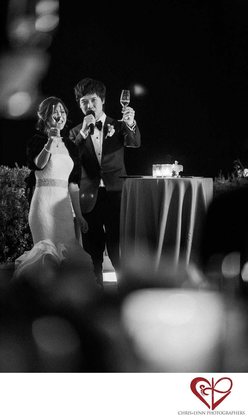 Villa La Vedetta Wedding reception, toast
