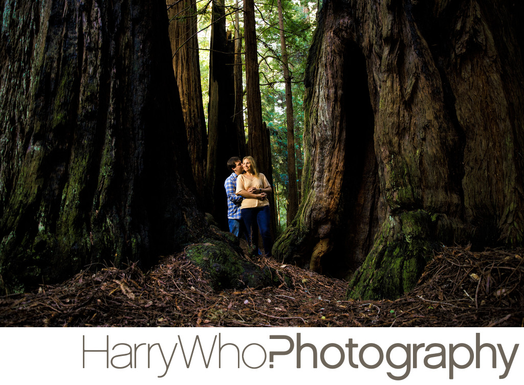 Butano State Park Engagement Session Photo