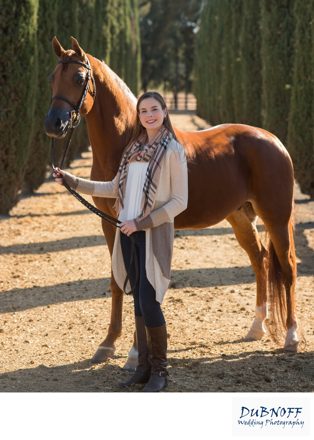 Outdoor Equine Photography in San Francisco and the Greater Bay Area