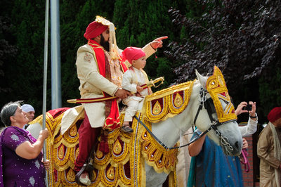 Indian Groom Riding in on a Horse for Baraat Ceremony  in the Bay Area