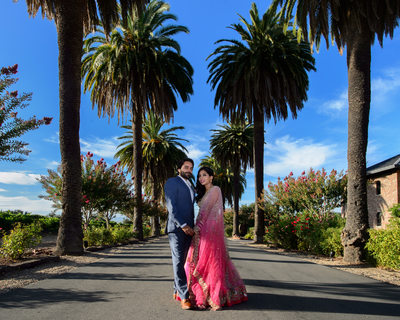 Indian Bride and Groom posing in the Palm Trees