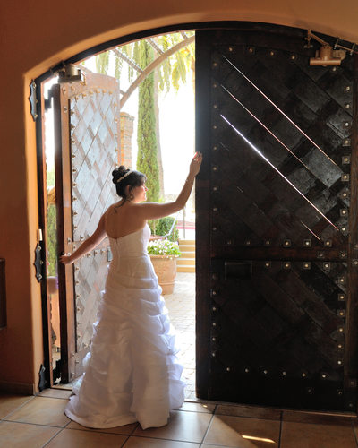 gorgeous bride in cellar doorway at the Palm Event Center in Pleasanton, California