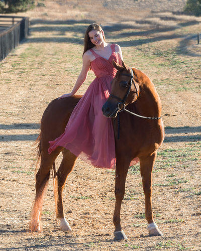 Equine Photography Portrait Session for a High School Senior in Dress