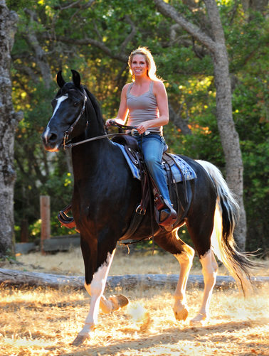 A Bay Area Equestrian riding her horse in the Sun light