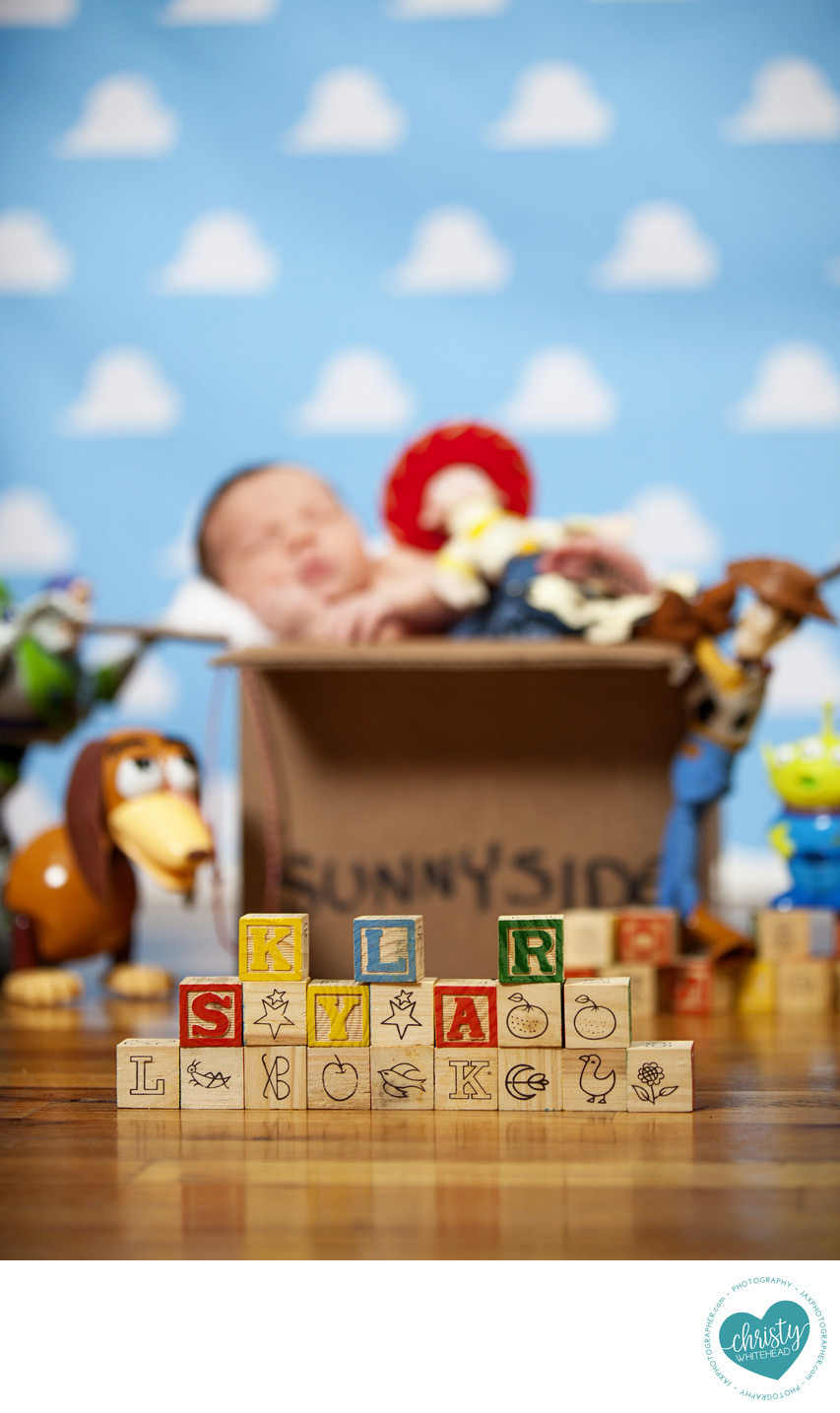  Newborn Toy Story Photo Shoot Christy Whitehead 