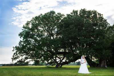 Oak Hollow Farm Wedding Reviews