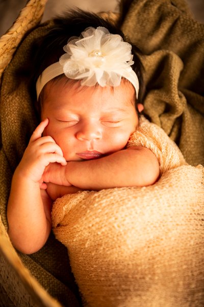 Newborn Photography from Louis G Weiner Photography