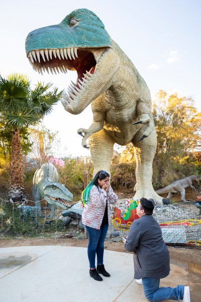Marrage Proposal at Cabazon Dinosaur Park