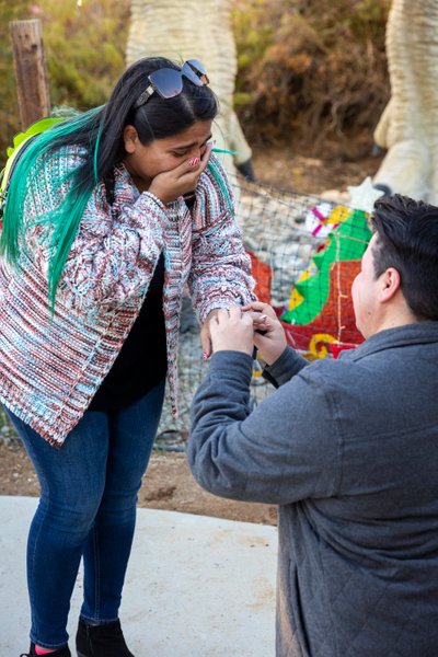 Marriage Proposal at Cabazon Dinosaur Park CA