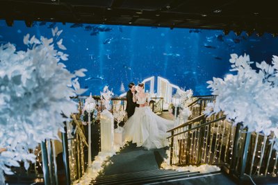 Sea Aquarium Wedding Photography Singapore