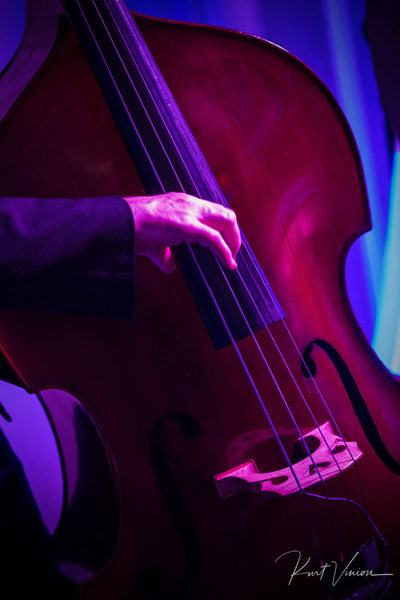 Bass player plays Four Seasons Hotel Prague weddings
