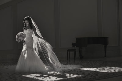Persian Wedding Photo at the Ritz-Carlton Laguna Niguel