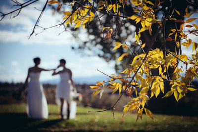 Silhouette Photo of Two Brides