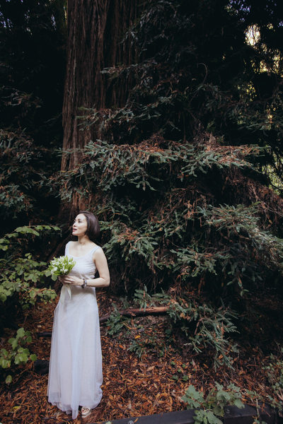 Bride Admiring Muir Woods