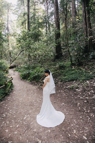 Muir Woods Bride