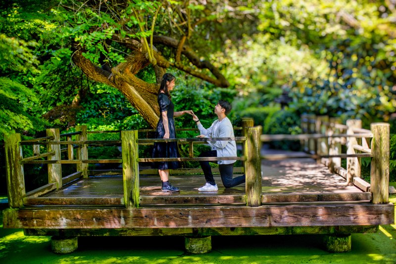 Proposal on the Moonview Garden deck at San Francisco Botanical Garden