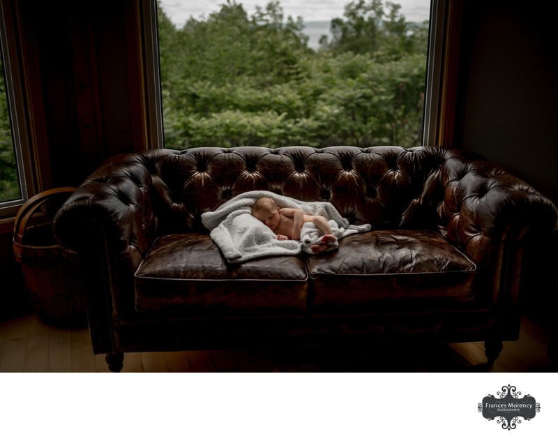 Newborn Photography on Leather Couch