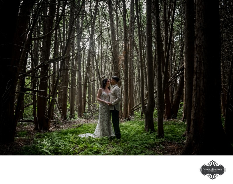 Bride Groom Portrait in Woods:  Toronto Wedding Photos