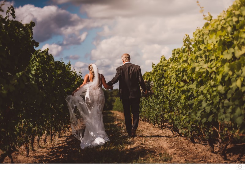 Wedding Couple Walking in Vineyard at Adamo Estate Winery