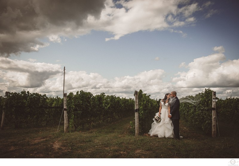 Fly Away Veil on Bride at Adamo Estate Winery