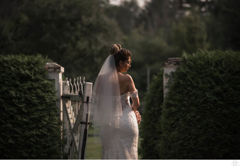 Back Light Portrait:  Briars Resort Wedding Photographer