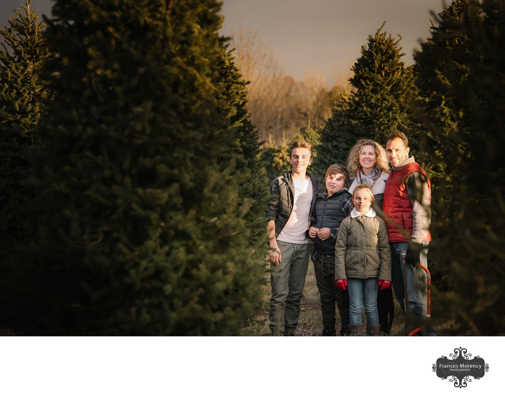 Christmas Tree Cutting: Belfountain Family Photographer