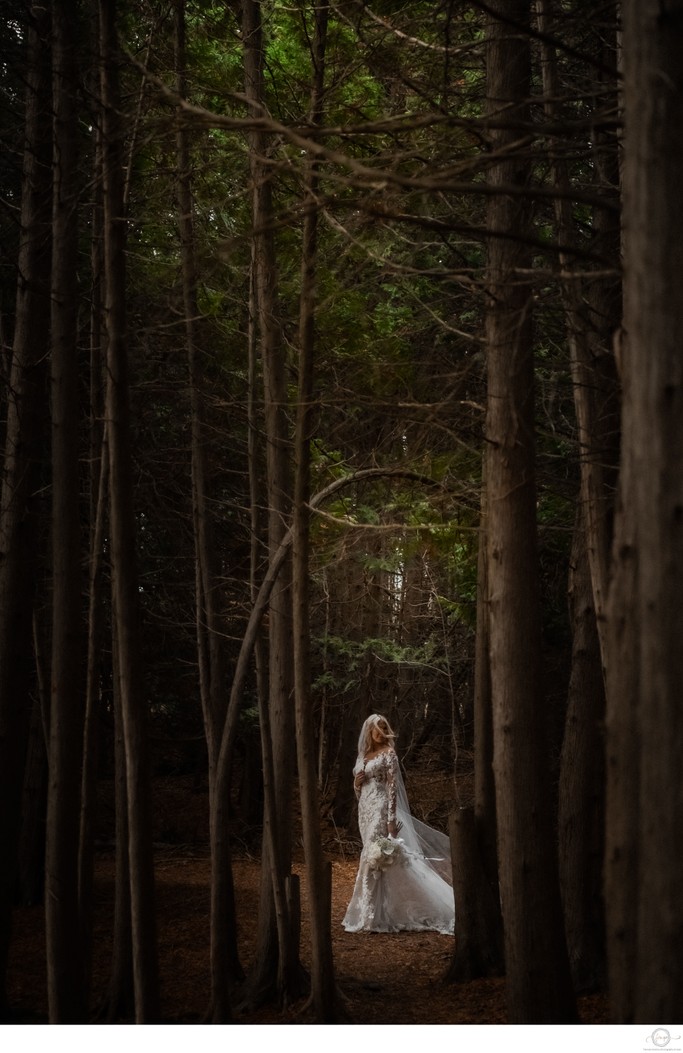 Millcroft Wedding Photos in the Woods:  Caledon Photographer