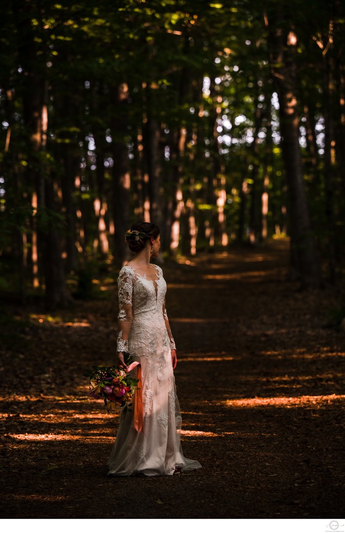 Harsh Light in Woods with Bride:  Barrie Wedding Photographer