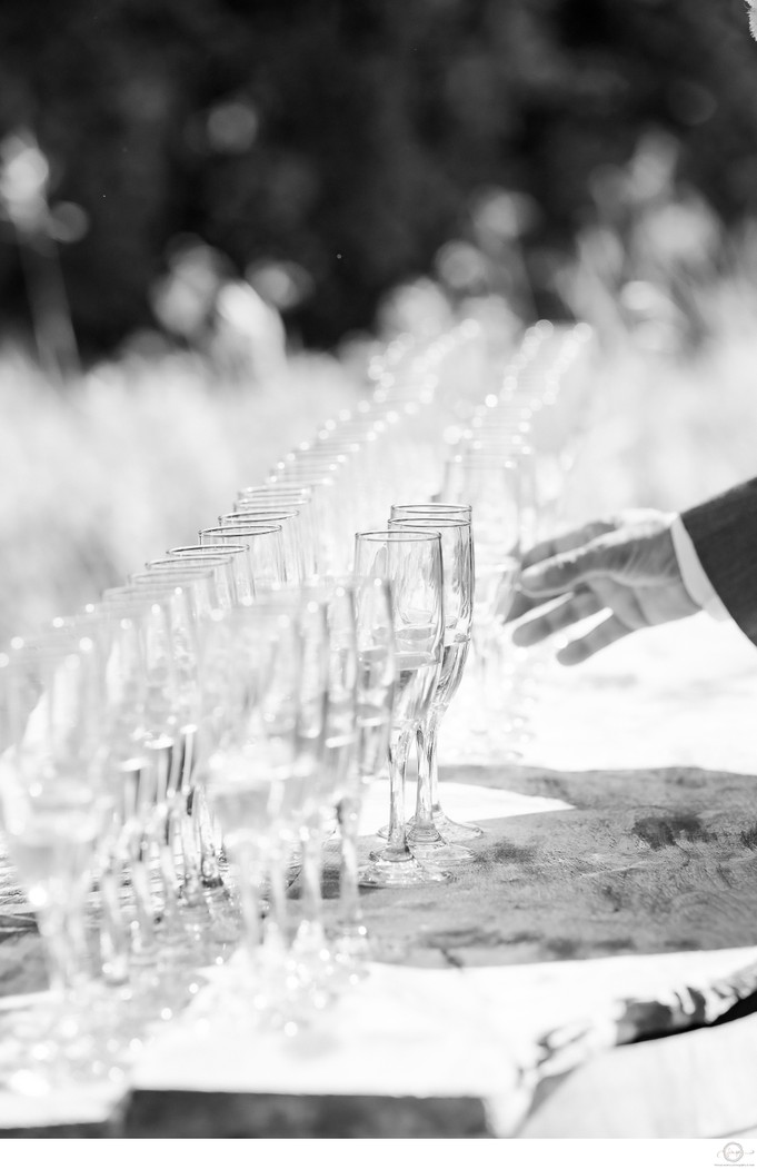 Guest Captures with Champagne Toasts at Adamo Wedding
