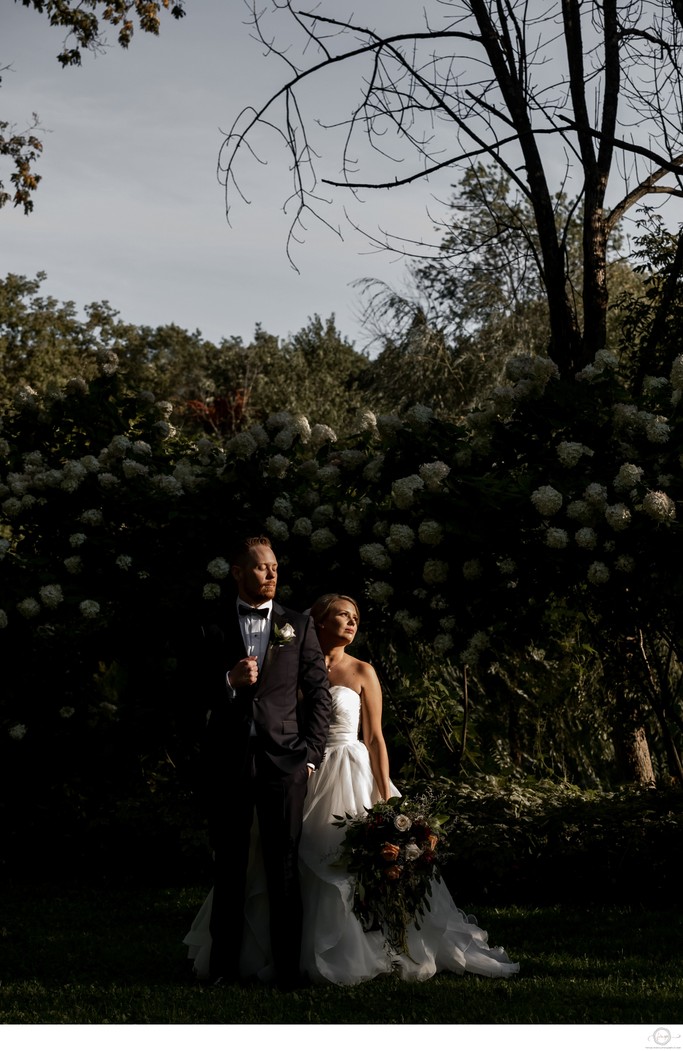 Bride and Groom Portrait in Harsh Light with Hydrangeas