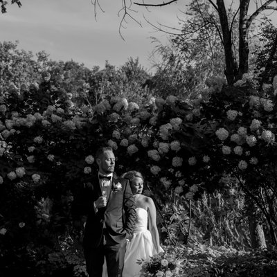 Bride Groom in Front of Flower Bushes