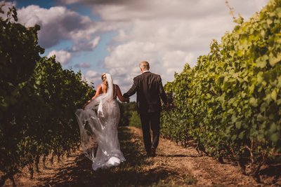 Wedding Couple Walking in Vineyard at Adamo Estate Winery