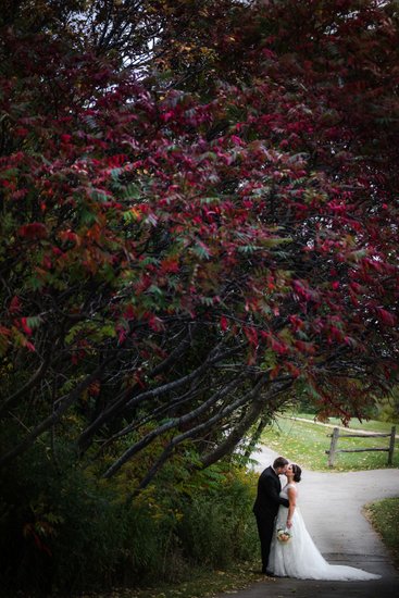 Bride Groom Under Red Tree:  Caledon Country Club Wedding