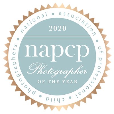 NAPCP Photographer of the Year Badge 2020