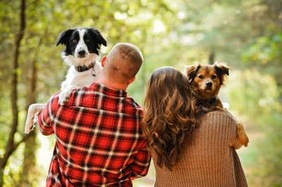 Puppies at an engagement session