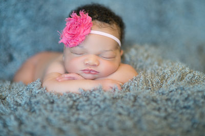 newborn girl photos pink grey jacksonville pictures