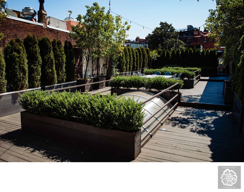 Fathom Gallery DC Rooftop Wedding