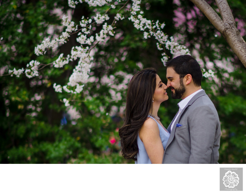 Tidal Basin Cherry Blossom Engagement Photos