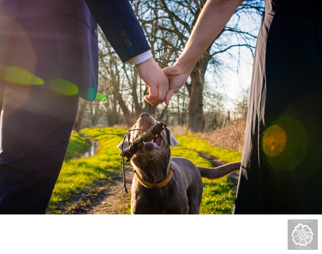  Engagement Photos with Pets