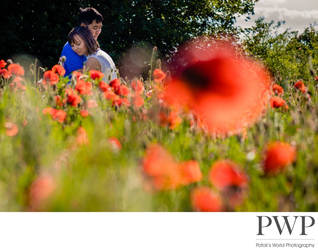 Spring Engagement Session in Bright Red Poppy Field