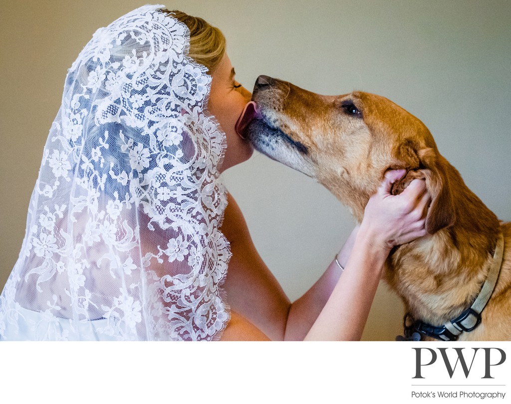 Candid Bride and Dog Photo Before Northern VA Wedding