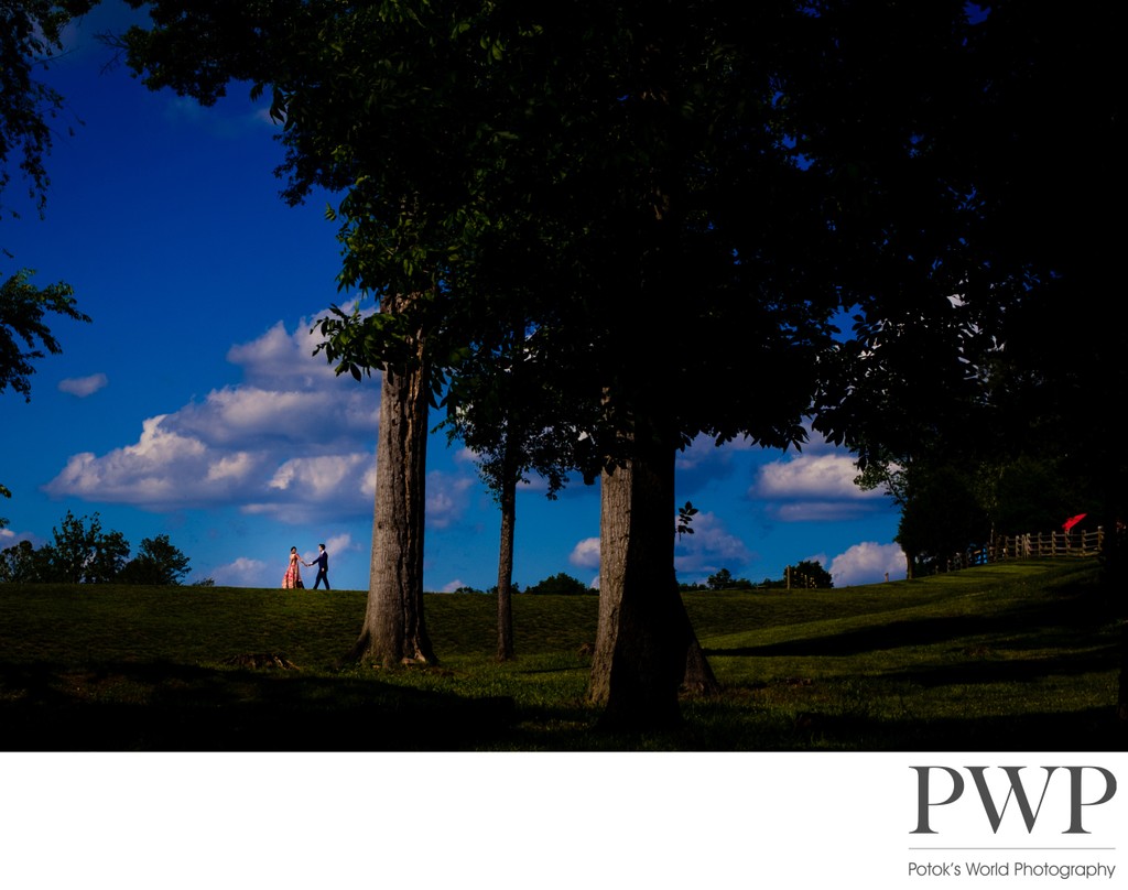 Dramatic Northern Virginia Winery Wedding Photos