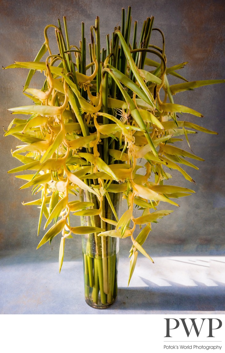 Weddings and Marigold / Painted Lillies