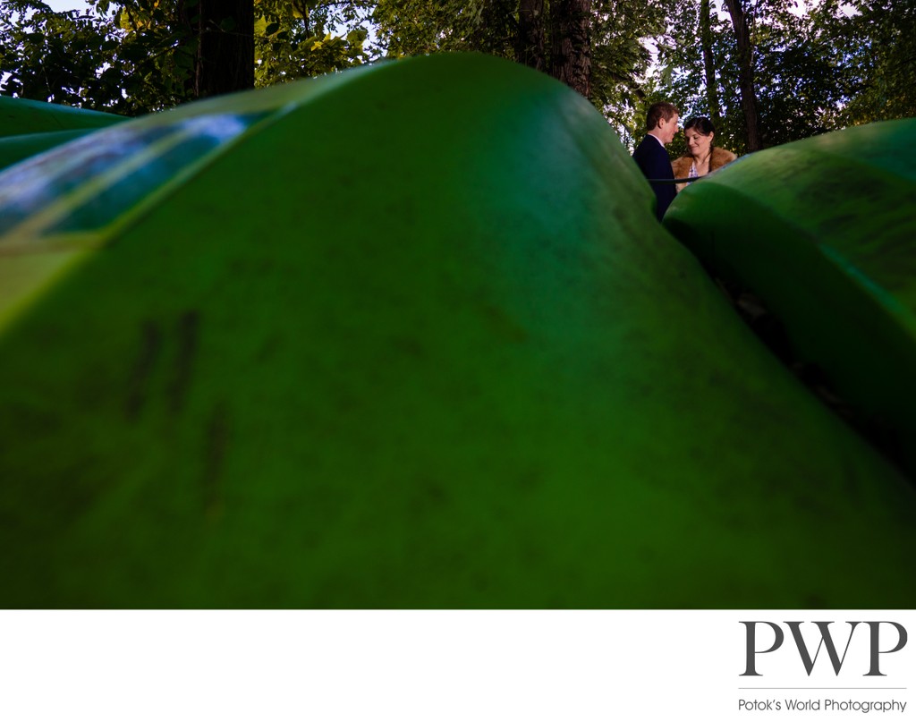 Imaginative DC Forest Wedding Portrait