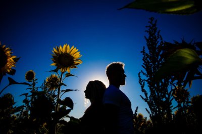 Summer Silhouette Engagement Photo in Sunflower Field