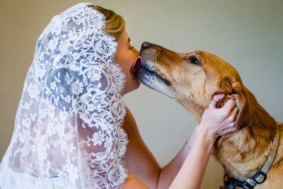 Candid Bride and Dog Photo Before Northern VA Wedding