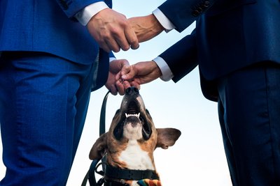 Documentary Picture of Dog in Same Sex DC Wedding