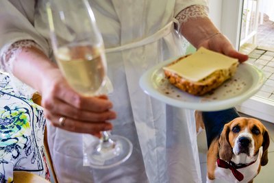 Unscripted Humorous Image of Dog at Weddings